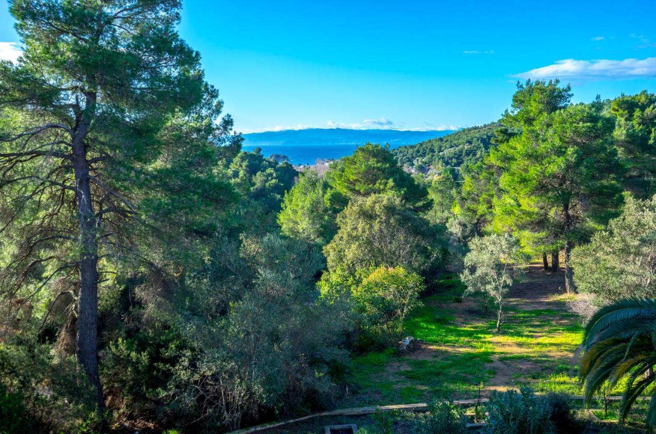 Forest Resort Suites Skiathos Trúlosz Kültér fotó