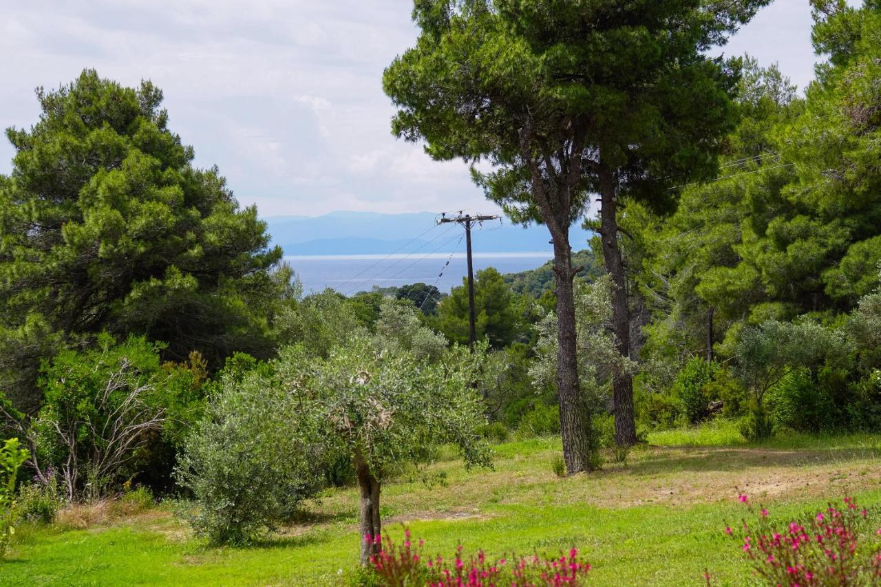 Forest Resort Suites Skiathos Trúlosz Kültér fotó